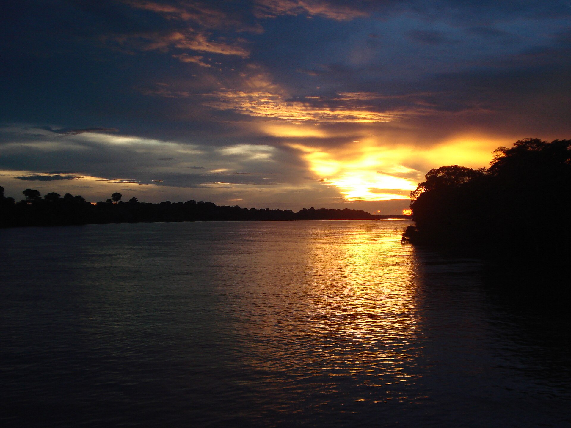 Rio Solimões com floresta nas margens, perto de Tefé, no Amazonas