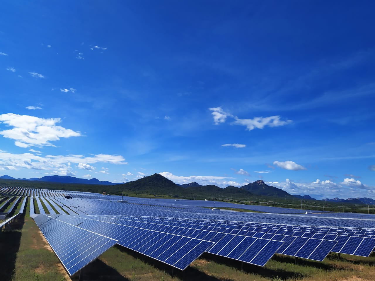 Fileiras de painéis solares de uma usina no sertão, com morros ao fundo